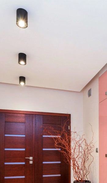 Οροφής Σποτ