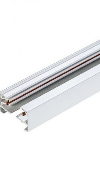 Μονοφασικές Ράγες