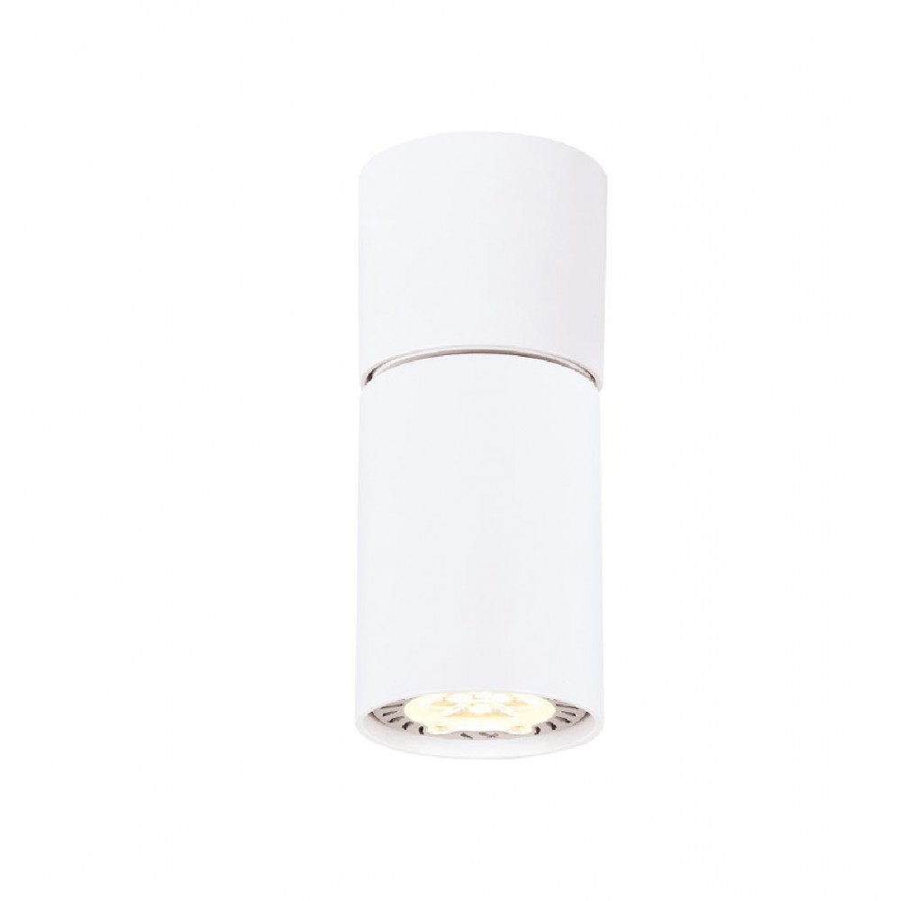 Σποτ Ρυθμιζόμενο Σε Λευκό Χρώμα 1XGU10 ELITIS - Aca Decor