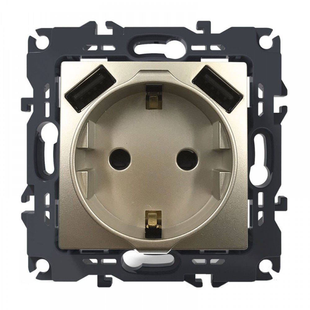 PRIME ΠΡΙΖΑ ΣΟΥΚΟ ΑΣΦΑΛΕΙΑΣ 1x2P+E 16A 250VAC & 2 USB 5VDC 3.1A IP20 MAT ΣΑΜΠΑΝΙΖΕ - Aca Elec