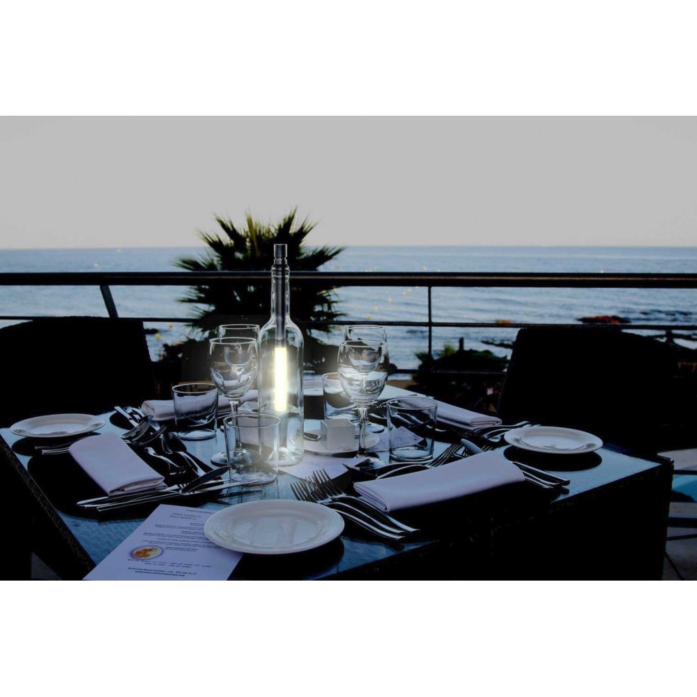 Διάφανο Γυάλινο Μπουκάλι Χωρίς την Λάμπα  - Bottlelight Company