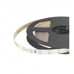 Ταινία Led Emphasis 24V 4 Watt IP20 Ψυχρό Λευκό 6500K - 5 μέτρα - CUBALUX