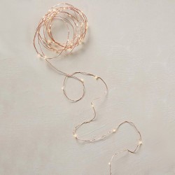 Φωτάκια Χαλκού 100 LED 10m με Μπαταρία Θερμό Λευκό 