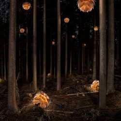 Κουκουνάρα SILVIA Copper Φ50 by UMAGE