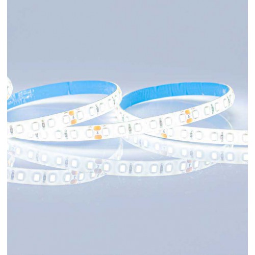 ΤΑΙΝΙΑ LED 5M 12W 12V 4000K 120L/M IP54 PRO Eurolamp