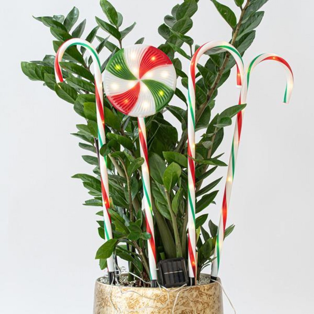 ΣΕΙΡΑ ΠΛΑΣΤΙΚΑ ΓΛΕΙΦΙΤΖΟΥΡΙΑ, ΧΡΩΜΑΤΙΣΤΑ, 40 ΘΕΡΜΑ ΛΕΥΚΑ LED, ΜΕ ΠΡΟΓΡΑΜΜΑ, ΜΕ ΜΕΤΑΣΧΗΜΑΤΙΣΤΗ, 4 ΤΕΜΑΧΙΑ, ΑΝΑ 50cm, IP44 Magic Christmas