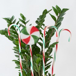 ΣΕΙΡΑ ΠΛΑΣΤΙΚΑ ΓΛΕΙΦΙΤΖΟΥΡΙΑ, ΧΡΩΜΑΤΙΣΤΑ, 40 ΘΕΡΜΑ ΛΕΥΚΑ LED, ΜΕ ΠΡΟΓΡΑΜΜΑ, ΜΕ ΜΕΤΑΣΧΗΜΑΤΙΣΤΗ, 4 ΤΕΜΑΧΙΑ, ΑΝΑ 50cm, IP44 Magic Christmas