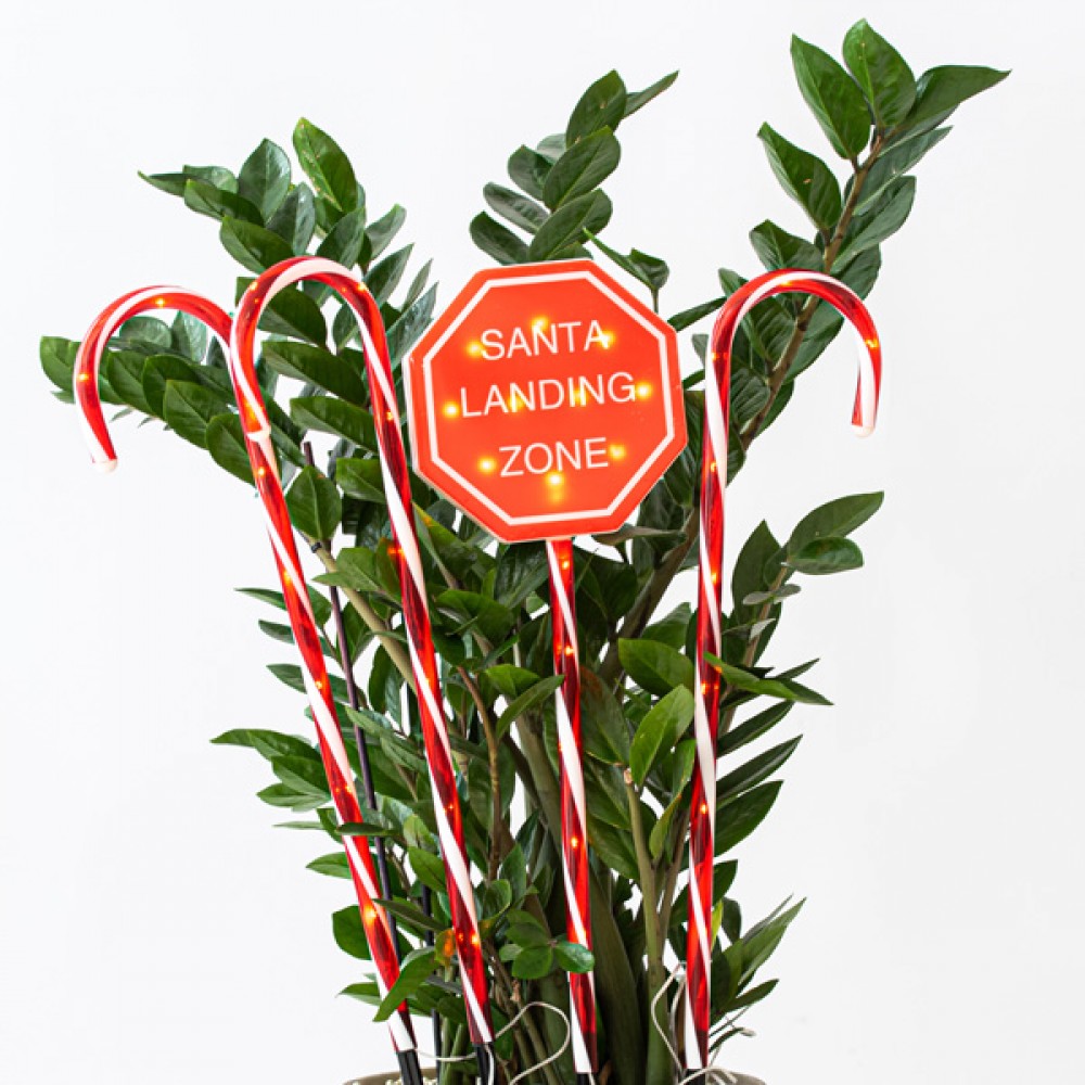ΣΕΙΡΑ ΠΛΑΣΤΙΚΑ ΓΛΕΙΦΙΤΖΟΥΡΙΑ 70cm, ΚΟΚΚΙΝΑ, 40 ΘΕΡΜΑ ΛΕΥΚΑ LED, ΜΕ ΠΡΟΓΡΑΜΜΑ, ΜΕ ΜΕΤΑΣΧΗΜΑΤΙΣΤΗ, 4 ΤΕΜΑΧΙΑ, ΑΝΑ 50cm, IP44 Magic Christmas