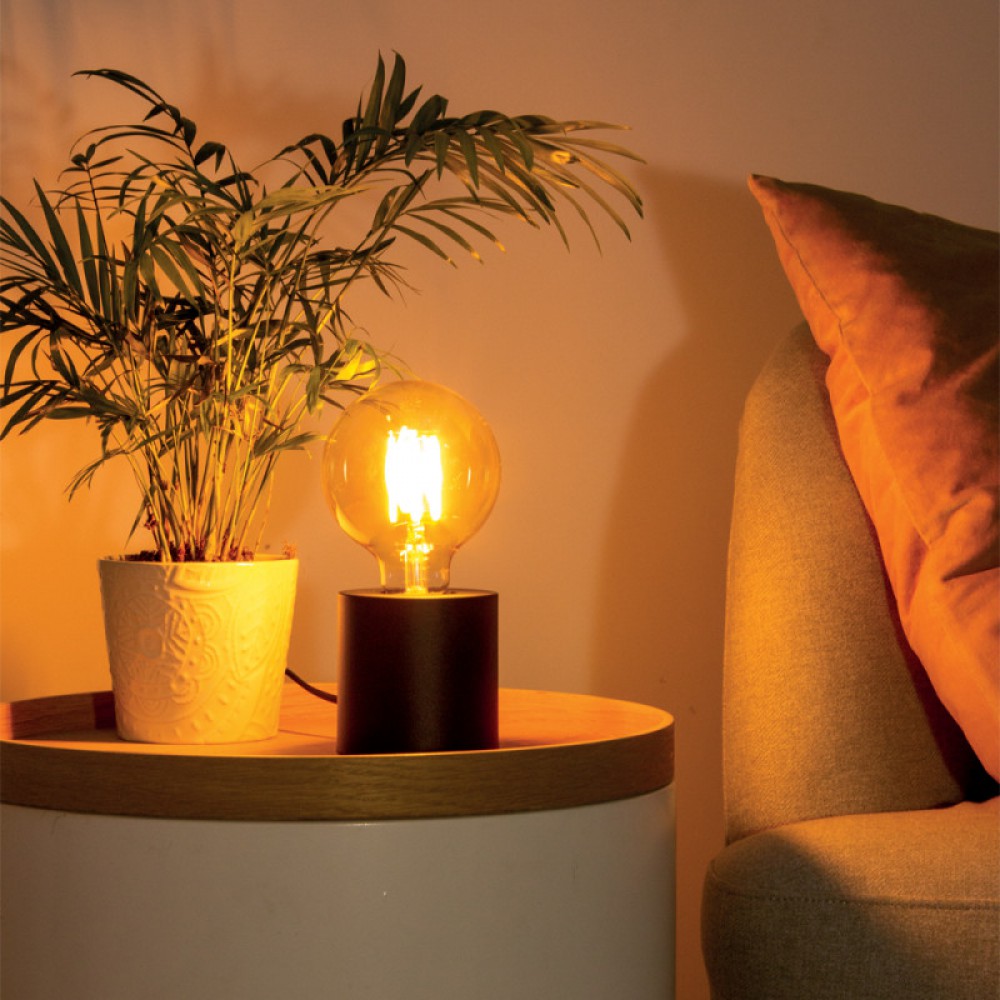 Λαμπτήρας διακοσμητικός led G95 E27 1521LM 15W 1800K - XANLITE