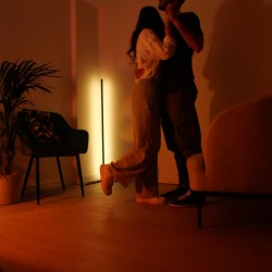 XANLITE ΦΩΤΙΣΤΙΚΟ ΔΑΠΕΔΟΥ ΜΕ ΜΙΚΡΟΦΩΝΟ RGB R/C USB