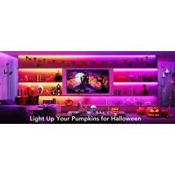 Govee LED Strip Light M1 Wi-Fi + Bluetooth RGBIC 72W 24V 5m ( H61E1  )