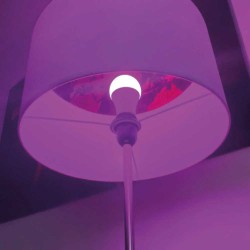 LED SMD CCT & RGB TUNABLE Λάμπα 3ης Γενιάς Με Εναλλαγή Φωτισμού A60 9W E27 240V - LUTEC CONNECT