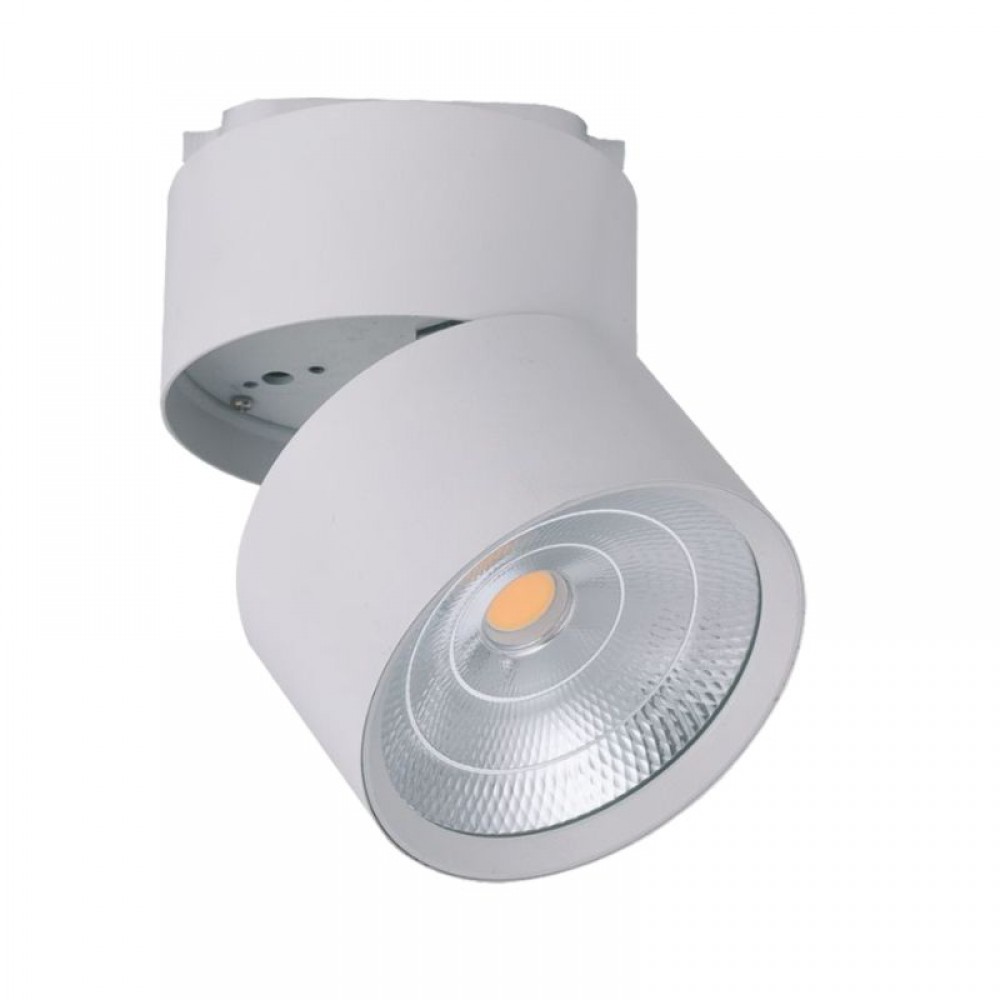 ΦΩΤΙΣΤΙΚΟ ΡΑΓΑΣ 2-LINE 25W CHAMELEON WHITE Θερμό - Space Lights
