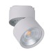 ΦΩΤΙΣΤΙΚΟ ΡΑΓΑΣ 2-LINE 25W CHAMELEON WHITE Θερμό - Space Lights