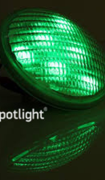 Εταιρίας Spotlight