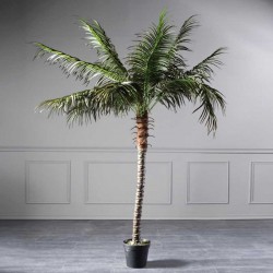 Τεχνητό Δέντρο Φοίνικας 210 εκ