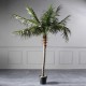 Τεχνητό Δέντρο Φοίνικας 210 εκ