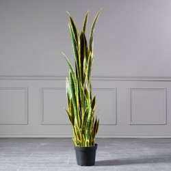  Τεχνητό Φυτό Σανσεβιέρα 155 εκ.