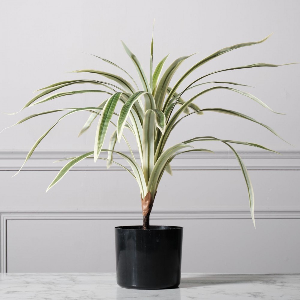 Τεχνητό Φυτό Δράκαινα 60 εκ.