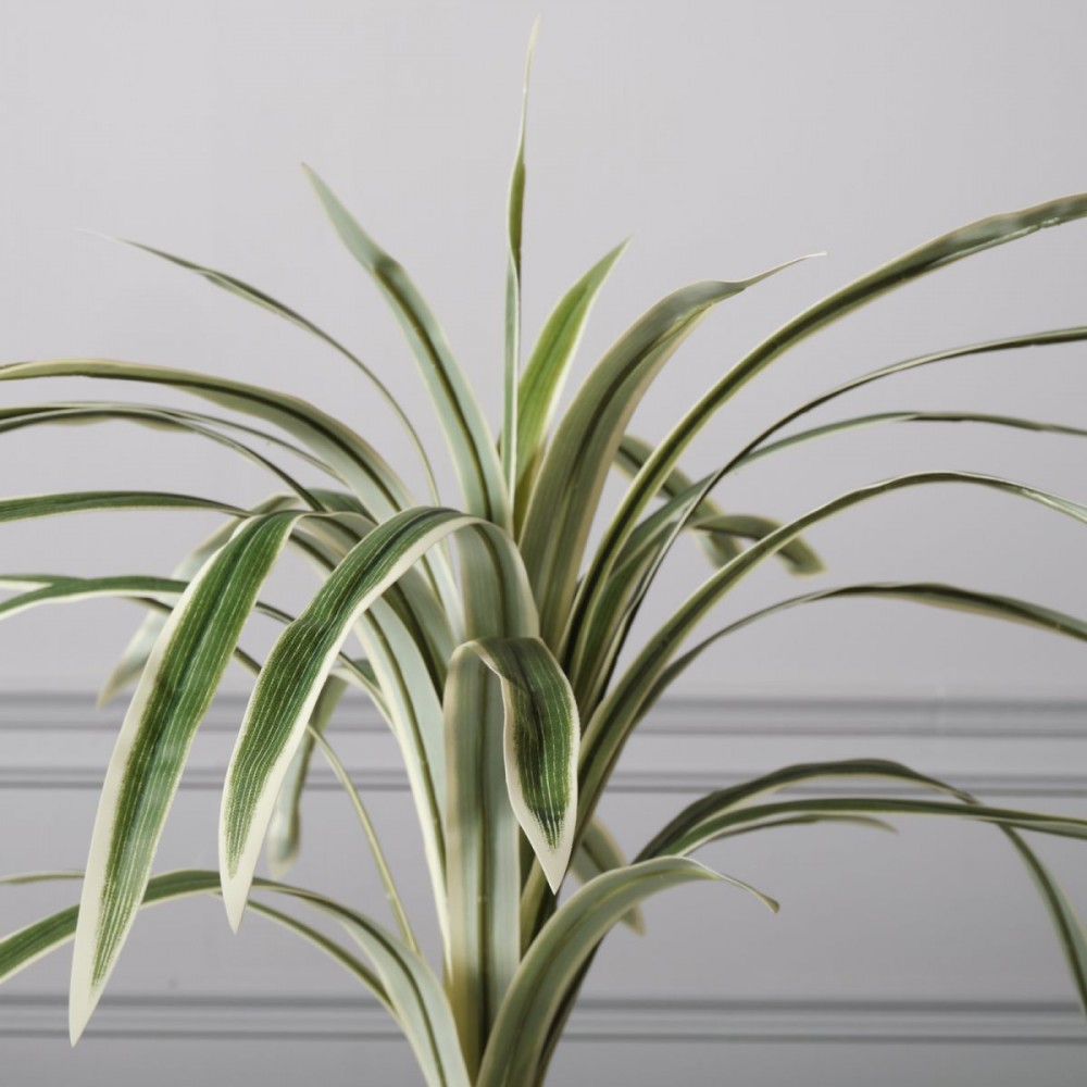 Τεχνητό Φυτό Δράκαινα 60 εκ.