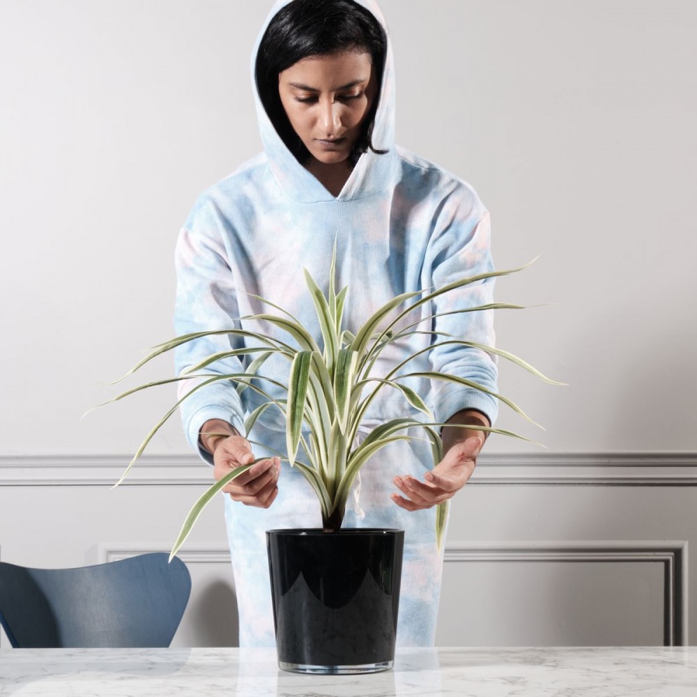 Τεχνητό Φυτό Δράκαινα 60 εκ.