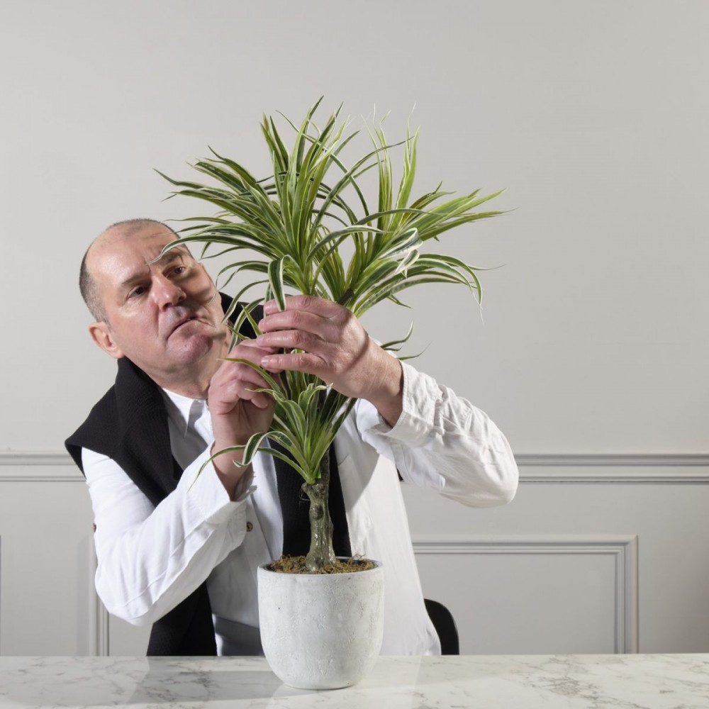 Τεχνητό Φυτό Δράκαινα White Jewel 70 εκ