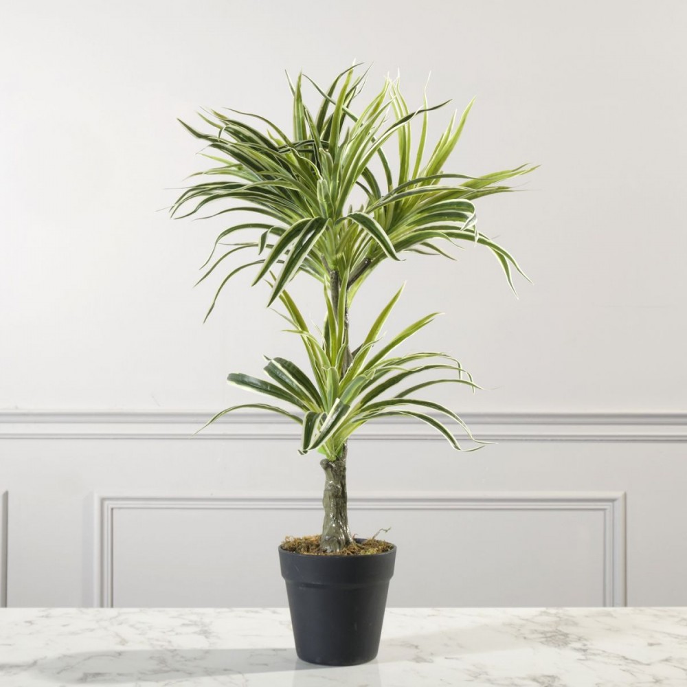 Τεχνητό Φυτό Δράκαινα White Jewel 70 εκ