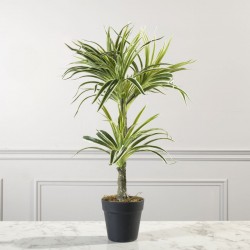 Τεχνητό Φυτό Δράκαινα White Jewel 70 εκ