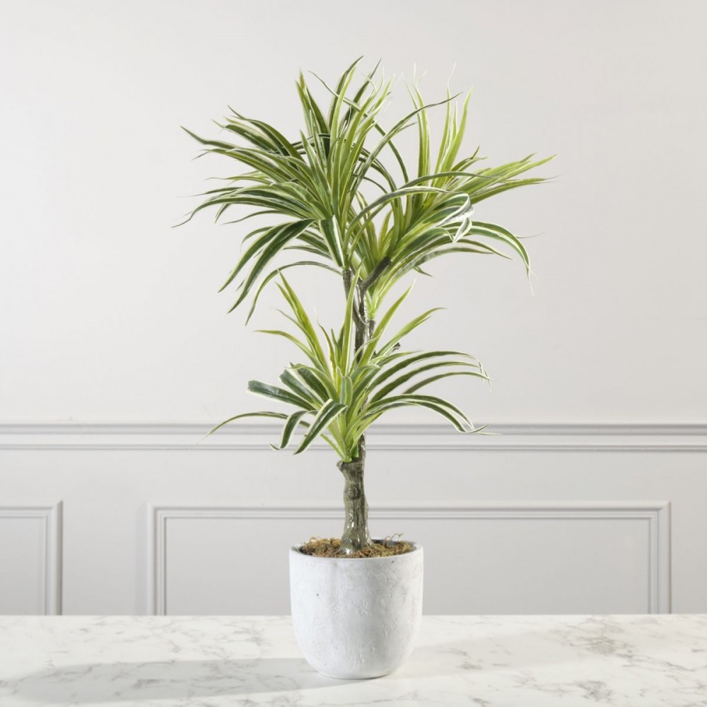Τεχνητό Φυτό Δράκαινα White Jewel 70 εκ
