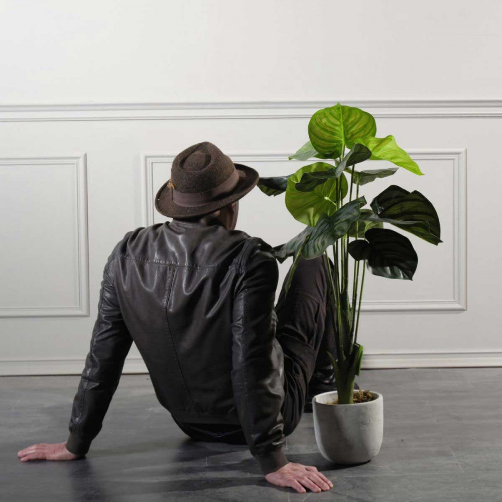 Τεχνητό Φυτό Καλαθέα Setosa 85 εκ.