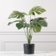 Τεχνητό Φυτό Μονστέρα 60 εκ.