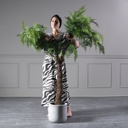 Τεχνητό Δέντρο Φτέρη Μπονσάι 180 εκ