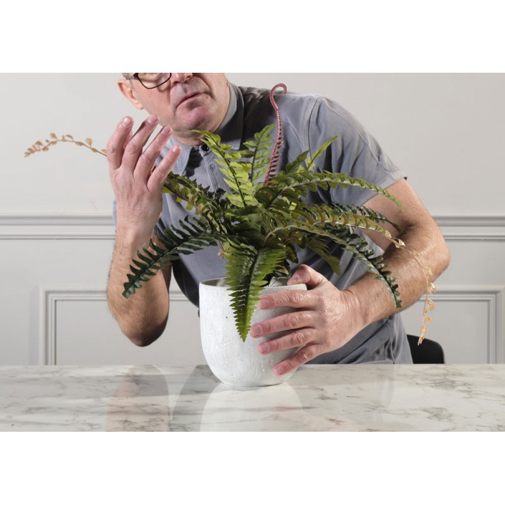 Τεχνητό Φυτό Φτέρη Boston 50 εκ.