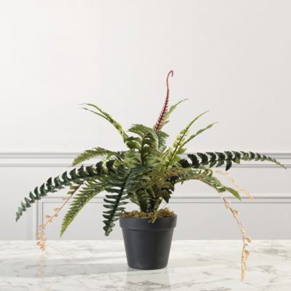 Τεχνητό Φυτό Φτέρη Boston 50 εκ.