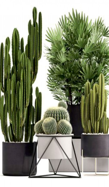 Τεχνητά Φυτά