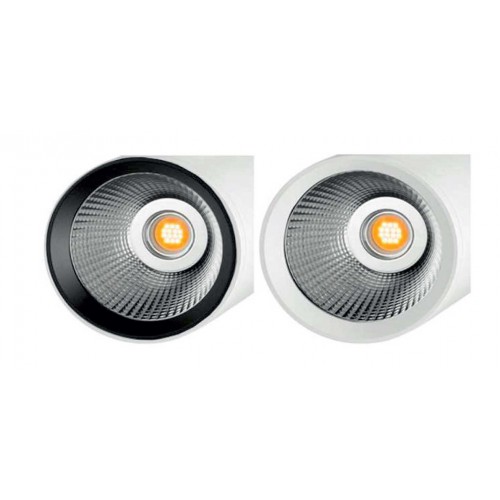 Black snoot - ring - UNIVERSE