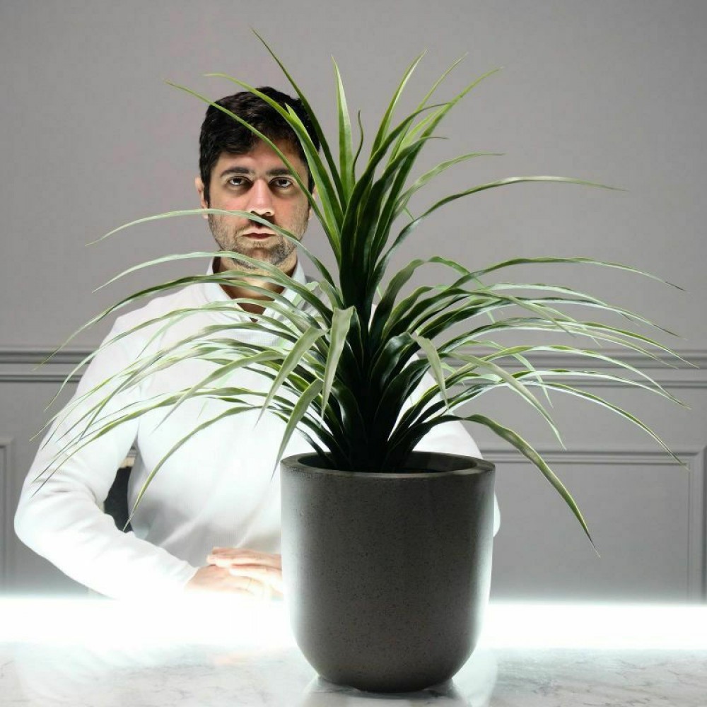 ΤΕΧΝΗΤΟ ΦΥΤΟ ΝΟΛΙΝΑ 70 ΕΚ.