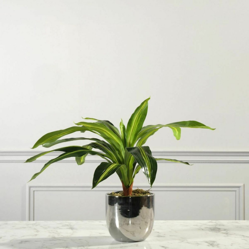 ΤΕΧΝΗΤΟ ΦΥΤΟ ΔΡΑΚΑΙΝΑ FRAGRANS 40 ΕΚ.