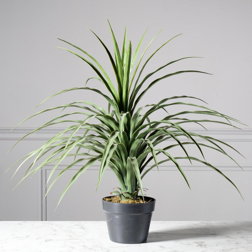 ΤΕΧΝΗΤΟ ΦΥΤΟ ΝΟΛΙΝΑ 70 ΕΚ.