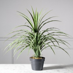 ΤΕΧΝΗΤΟ ΦΥΤΟ ΝΟΛΙΝΑ 70 ΕΚ.