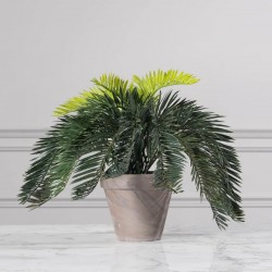 ΤΕΧΝΗΤΟ ΦΥΤΟ ΦΟΙΝΙΚΟΘΑΜΝΟΣ 37 ΕΚ.