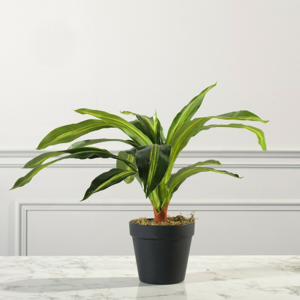 ΤΕΧΝΗΤΟ ΦΥΤΟ ΔΡΑΚΑΙΝΑ FRAGRANS 40 ΕΚ.