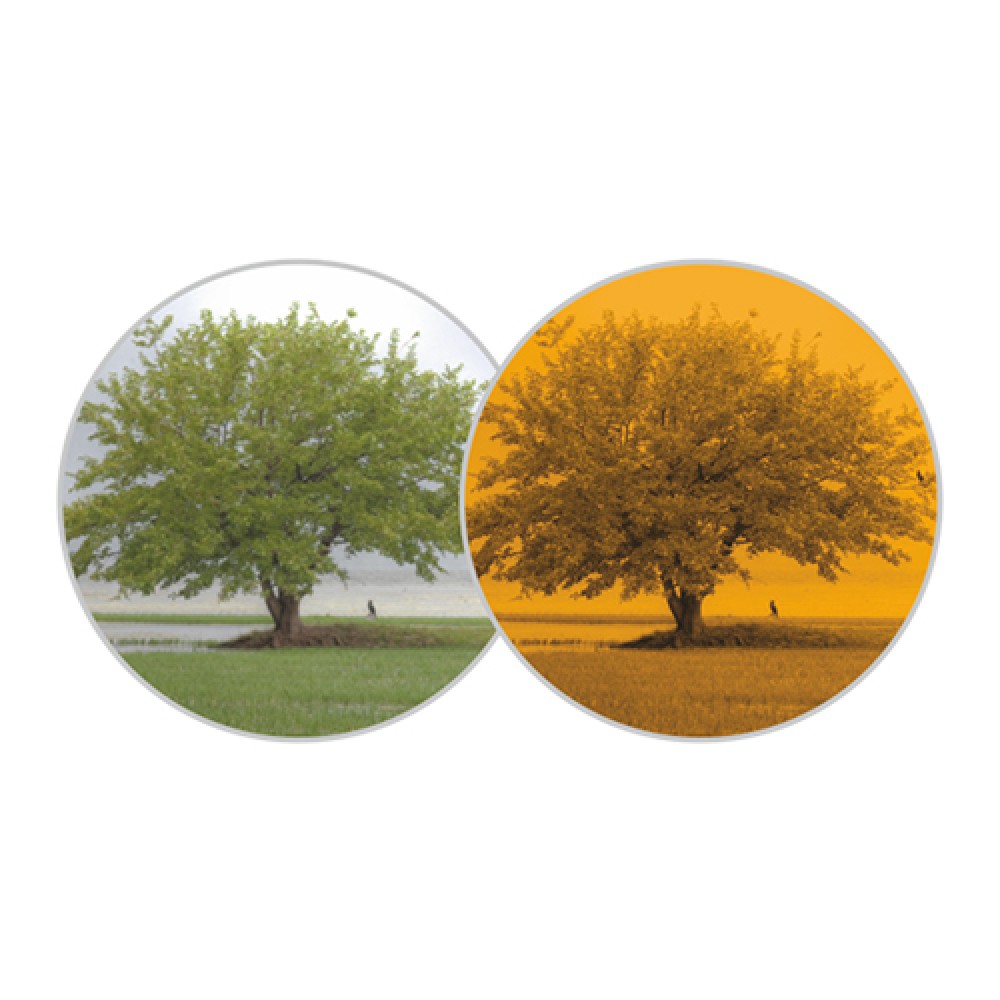 Κιάλια Ημερήσιας Παρατήρησης Expert VM 8x40 MARINE 72091 Επαγγελματική Σειρά IPX7 Pulsar