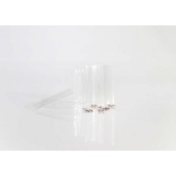 Clips Για ΝΕΟΝ Φωτοσωλήνα, Σετ 5τμχ Eurolamp