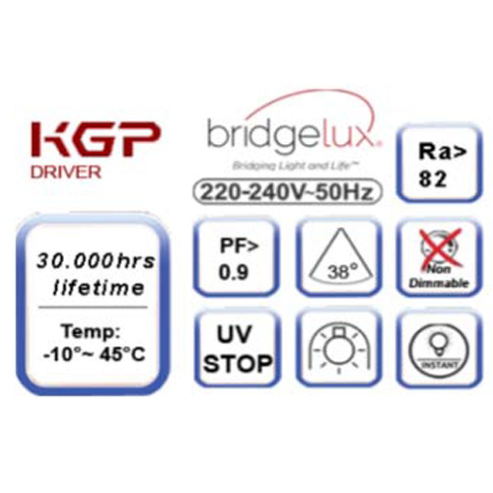 Σποτ Ράγας 20W LED COB Με Τριφασικό Αντάπτορα UNIVERSE