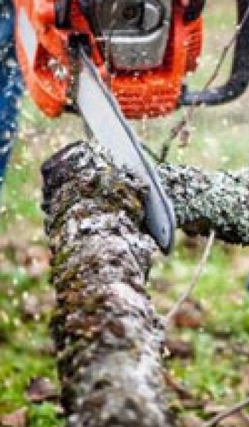 Αλυσοπρίονα - Κονταροπρίονα - Τροχιστικά