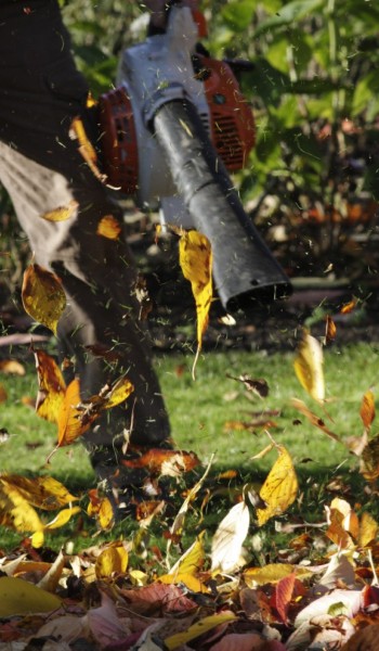 Φυσητήρες - Αναρροφητήρες