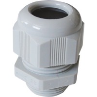 Στυπιοθλήπτες