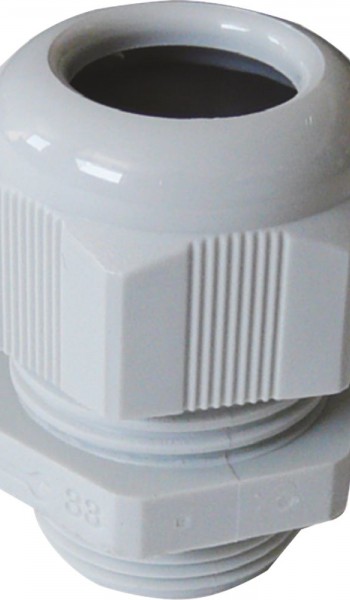 Στυπιοθλήπτες